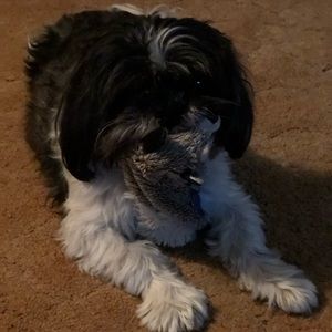 Meet your Posher, Erica